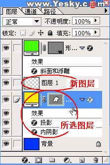 wepet官方下载,科学解答解释定义-Pixel1_v4.162