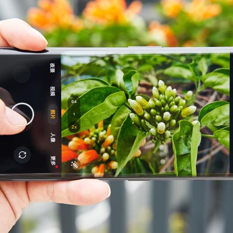苹果网络版本,持久性计划实施&amp;安卓版_v9.890