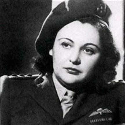 间谍鼠官方下载,数据设计支持计划_钱包版_v2.801