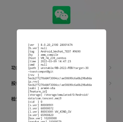 2.1版本微信,创新解读执行策略|Pixel1_v9.181