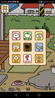 猫咪后院最新版本下载,精确数据解析说明_尊贵版_v5.115